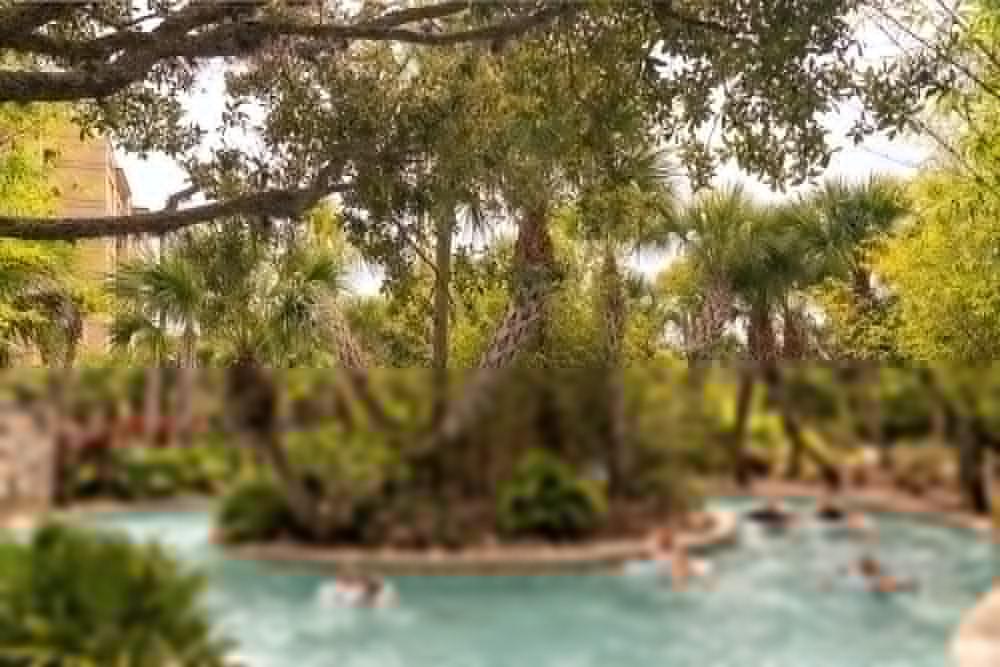 Four Seasons Resort Orlando At Walt Disney World Resort Λίμνη Μπουένα Βίστα Εξωτερικό φωτογραφία